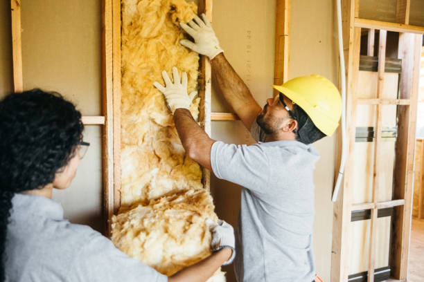 Best Insulation Air Sealing  in Key West, FL